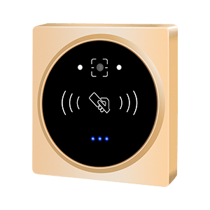 1590549106850572.png CR06R_R.png